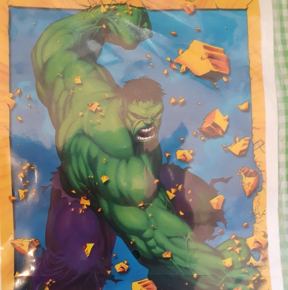 24 Incredible Hulk Party Treat Sacks by Hallmark